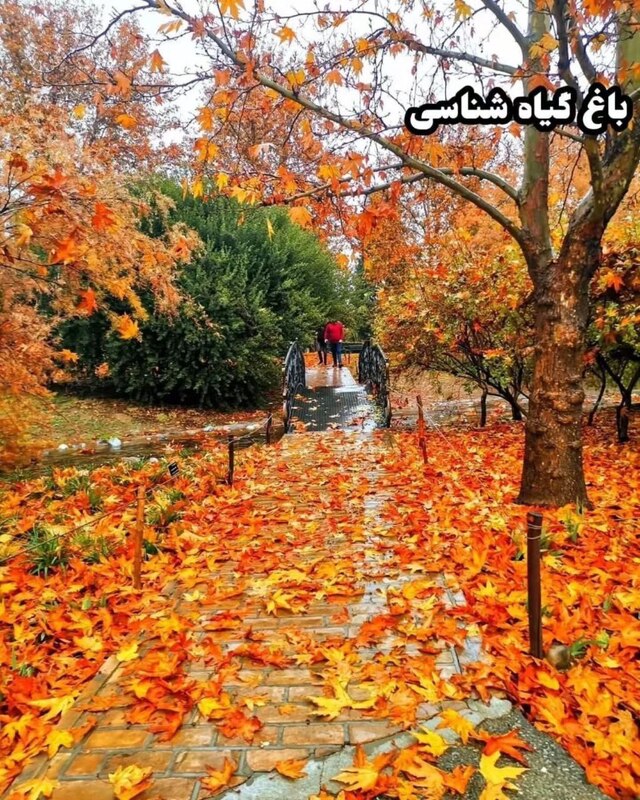 زیبایی‌های پاییز تهران در ۸ مکان دیدنی