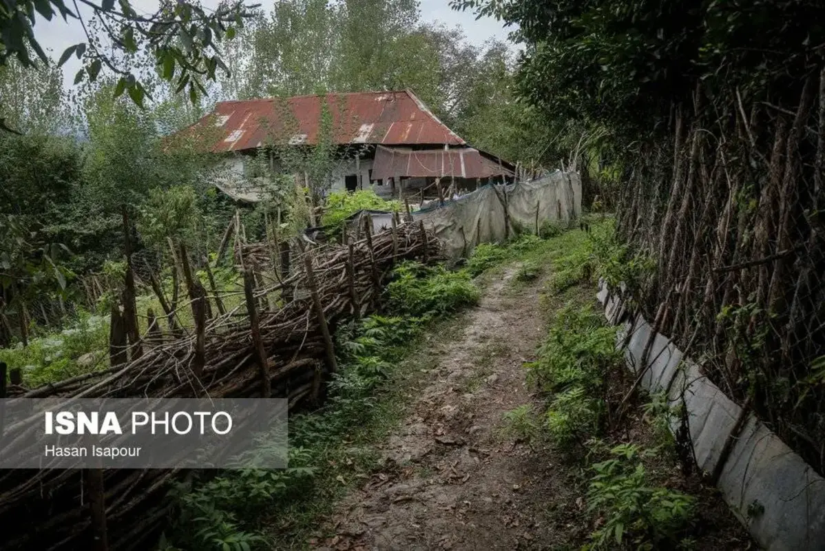 روستای متروکه اطراف سوادکوه