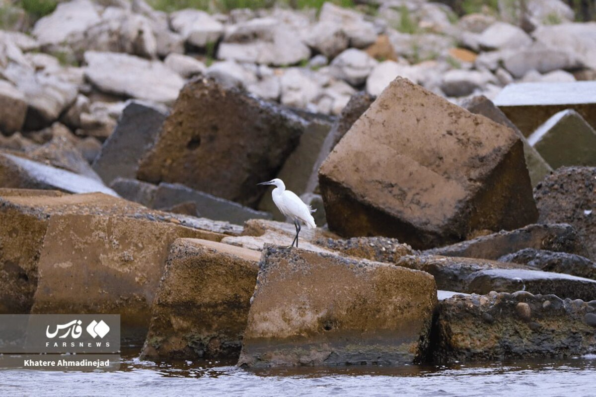 قدرت‌نمایی خزر در آغاز پاییز