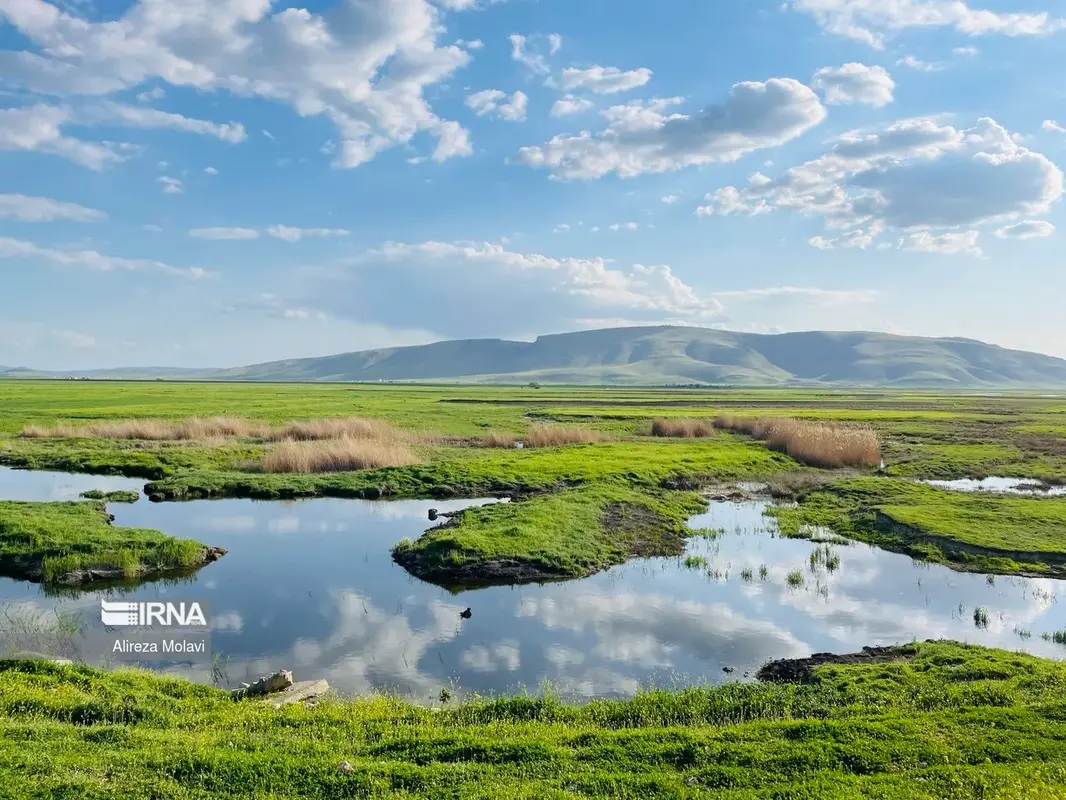 سراب نیلوفر کرمانشاه خشک شد