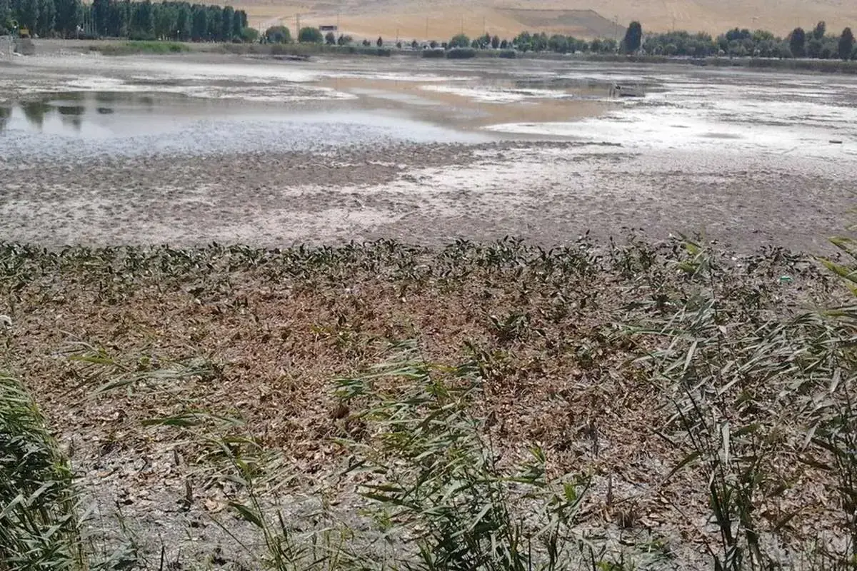 سراب نیلوفر کرمانشاه خشک شد