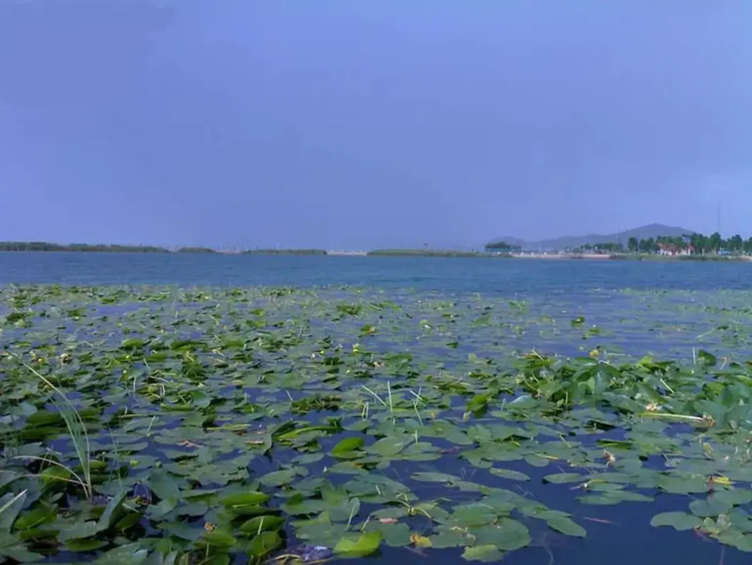 سراب نیلوفر کرمانشاه خشک شد