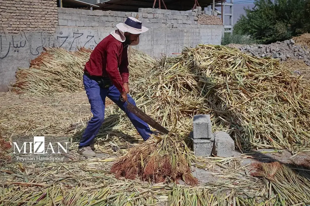 هنر ماندگار جاروبافی در خراسان شمالی