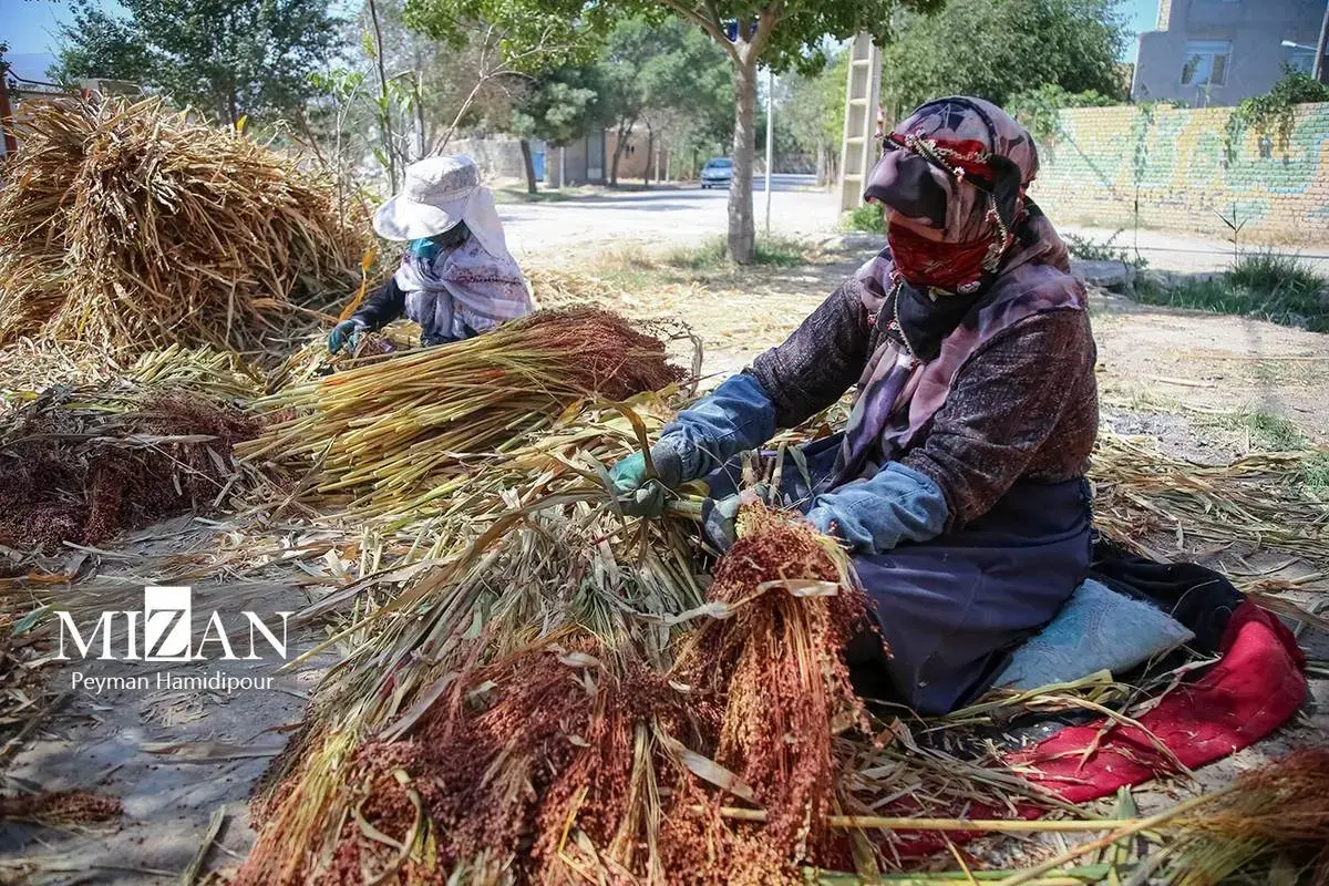هنر ماندگار جاروبافی در خراسان شمالی