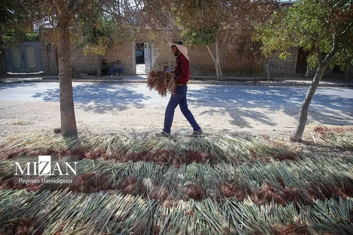 هنر ماندگار جاروبافی در خراسان شمالی