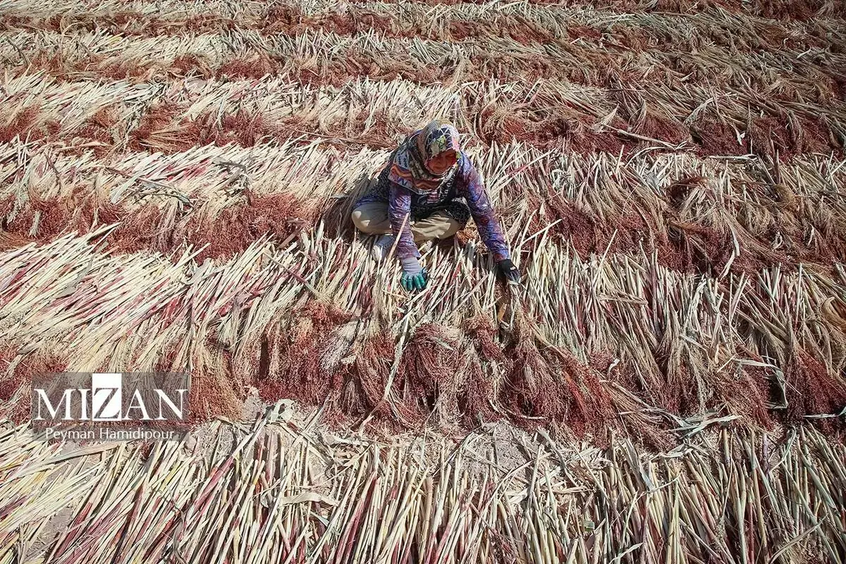 هنر ماندگار جاروبافی در خراسان شمالی