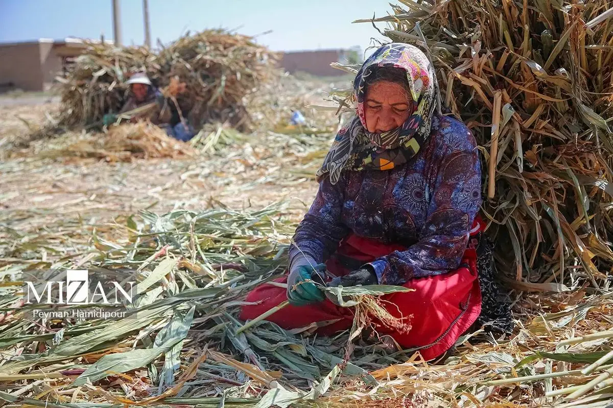 هنر ماندگار جاروبافی در خراسان شمالی