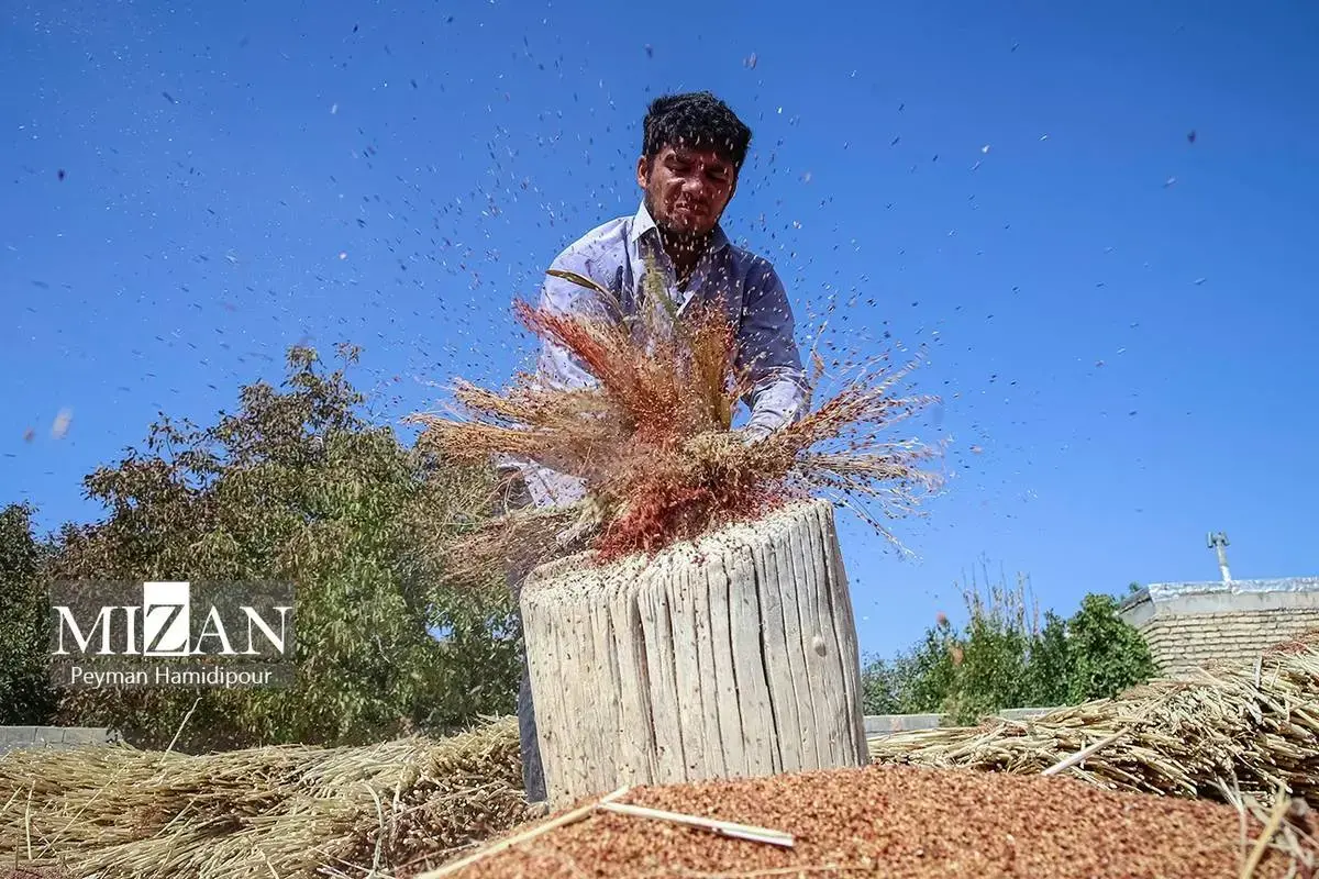 هنر ماندگار جاروبافی در خراسان شمالی