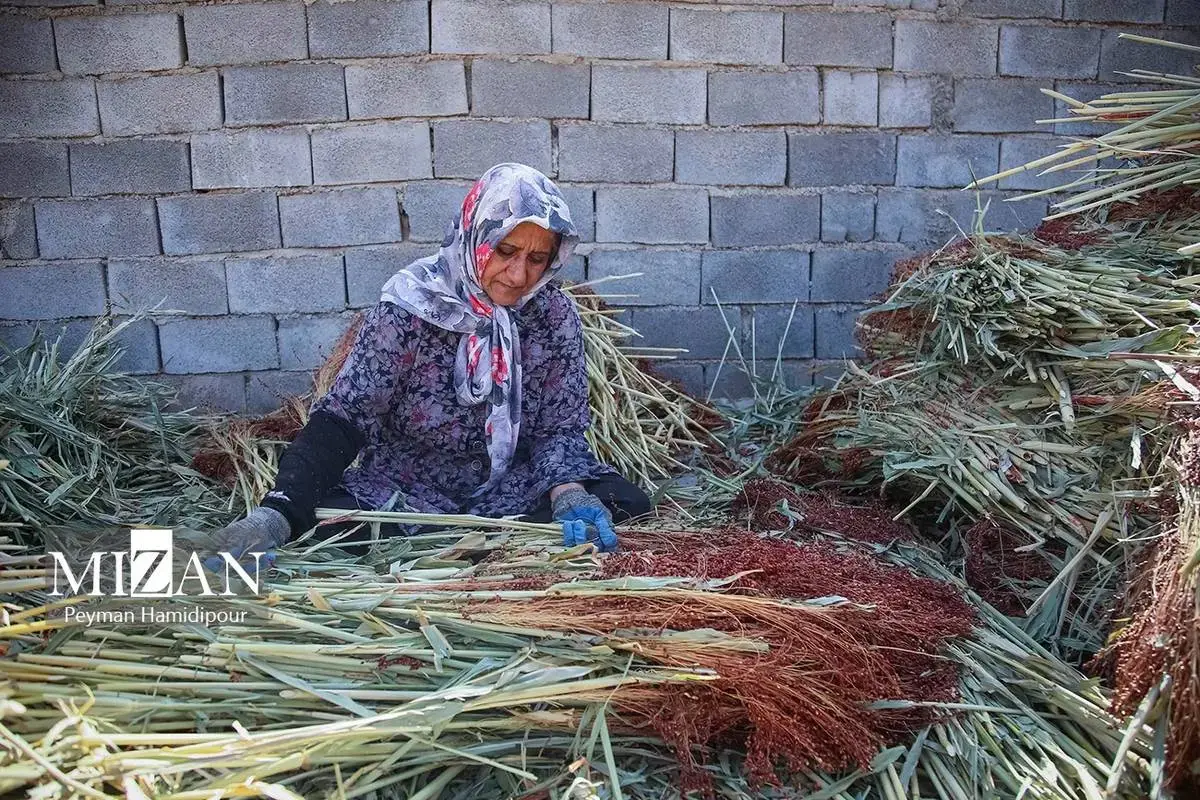 هنر ماندگار جاروبافی در خراسان شمالی