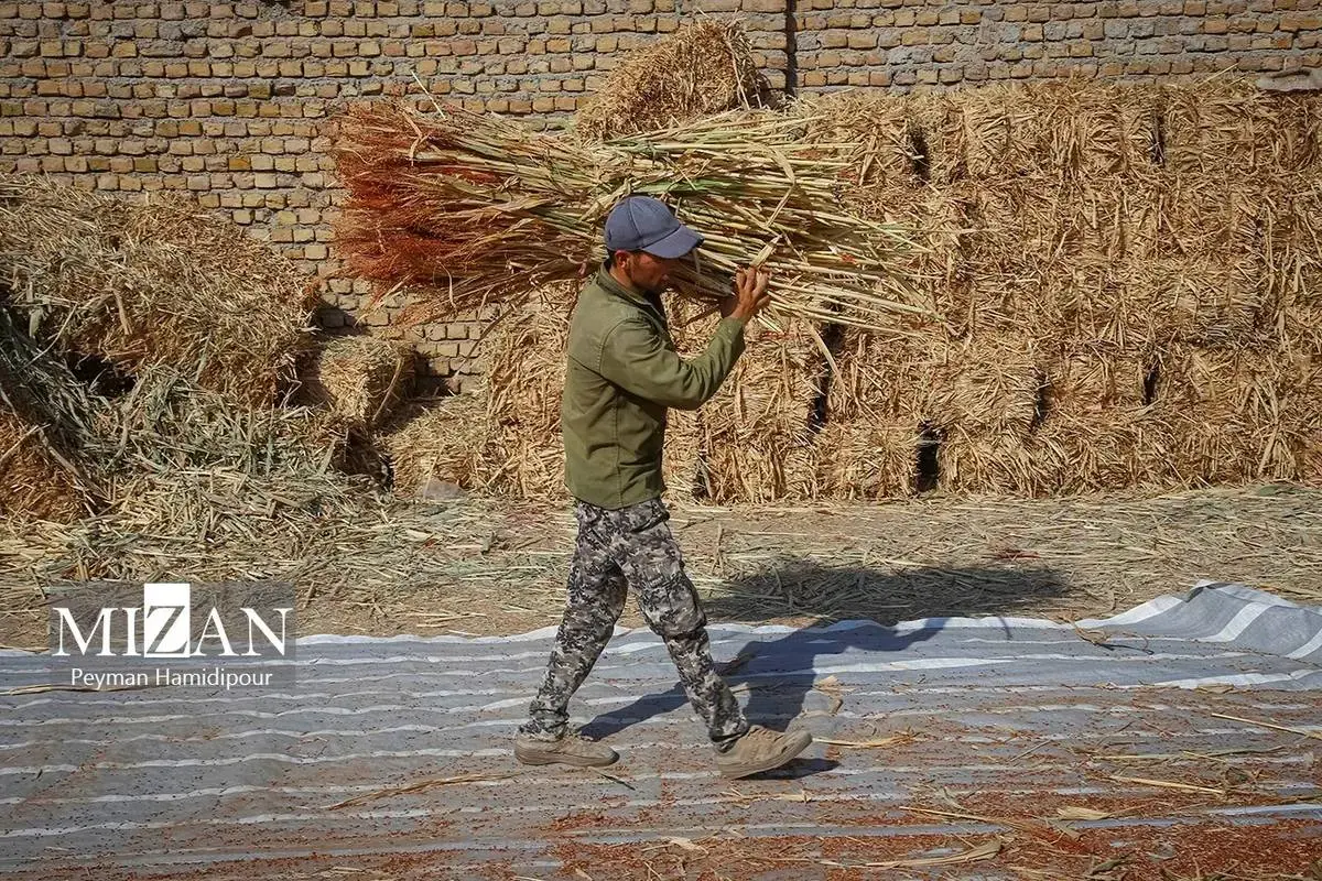 هنر ماندگار جاروبافی در خراسان شمالی