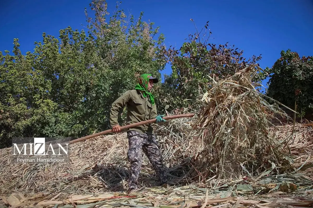 هنر ماندگار جاروبافی در خراسان شمالی