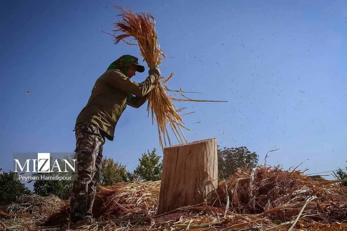 هنر ماندگار جاروبافی در خراسان شمالی