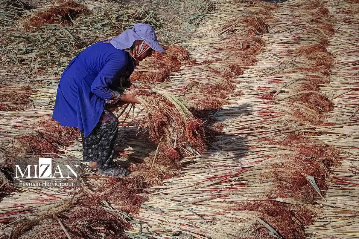 هنر ماندگار جاروبافی در خراسان شمالی