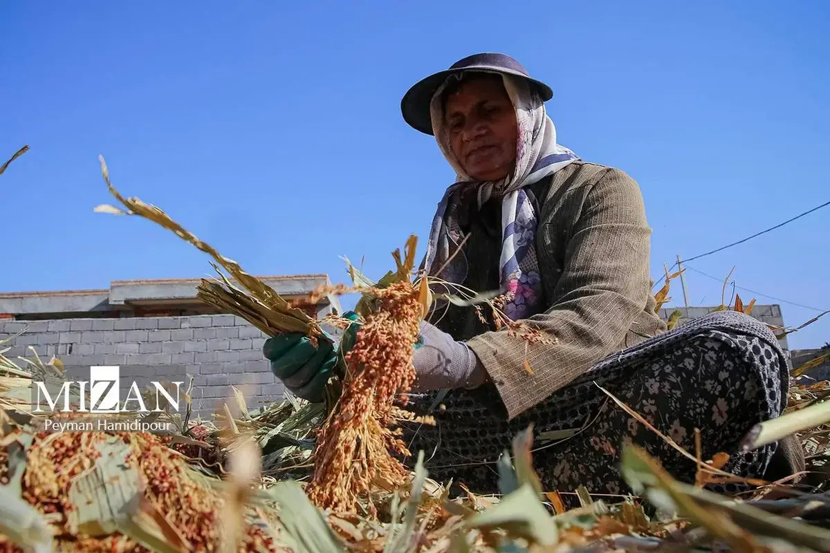 هنر ماندگار جاروبافی در خراسان شمالی
