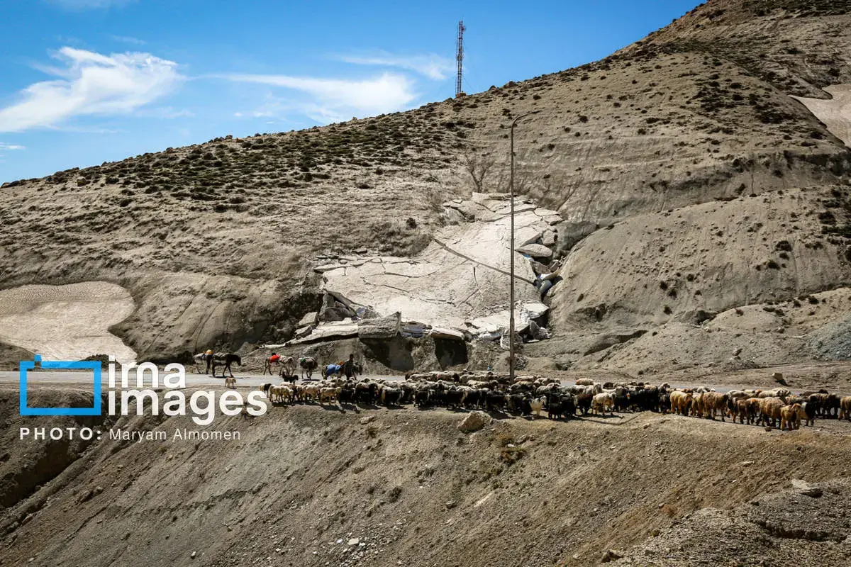 دل در دل دشت با ایل بختیاری