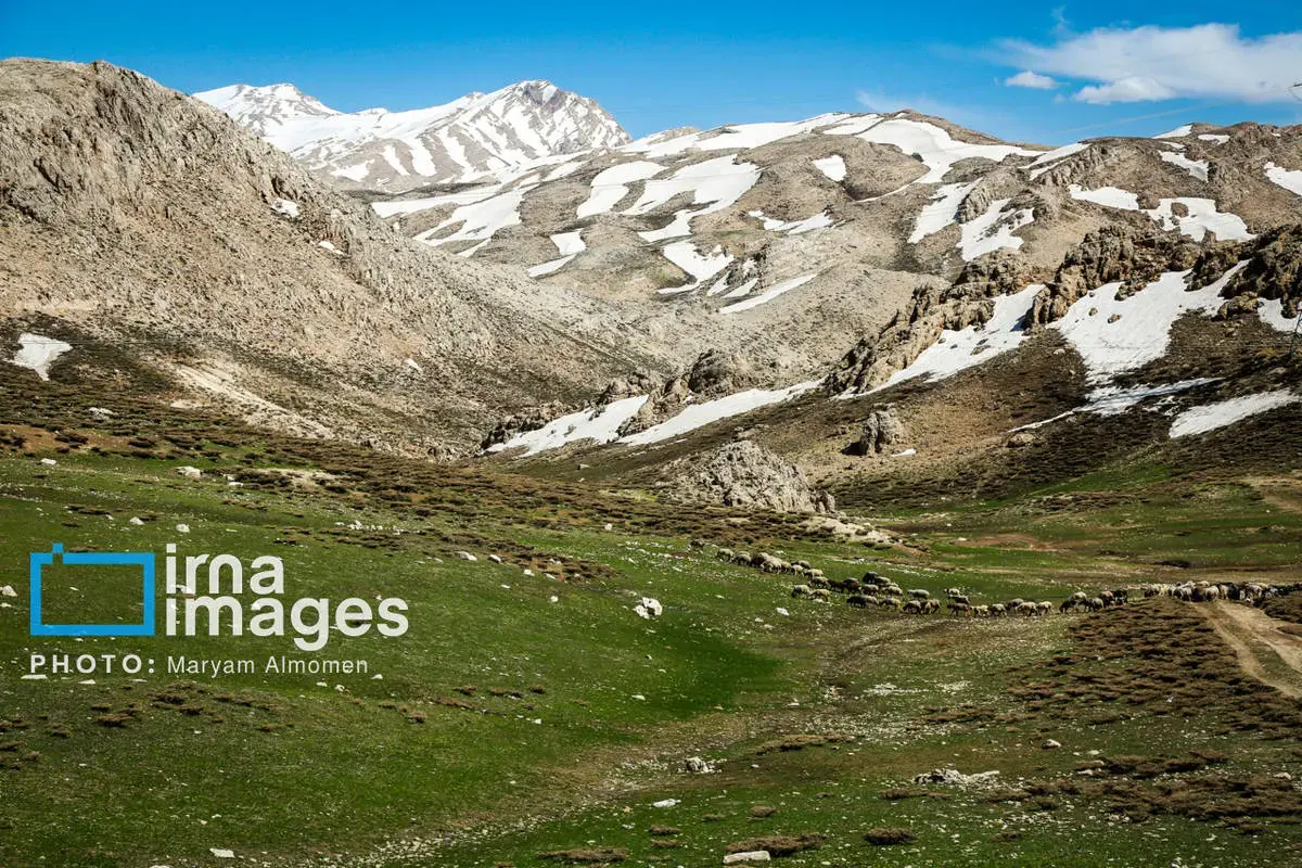 دل در دل دشت با ایل بختیاری