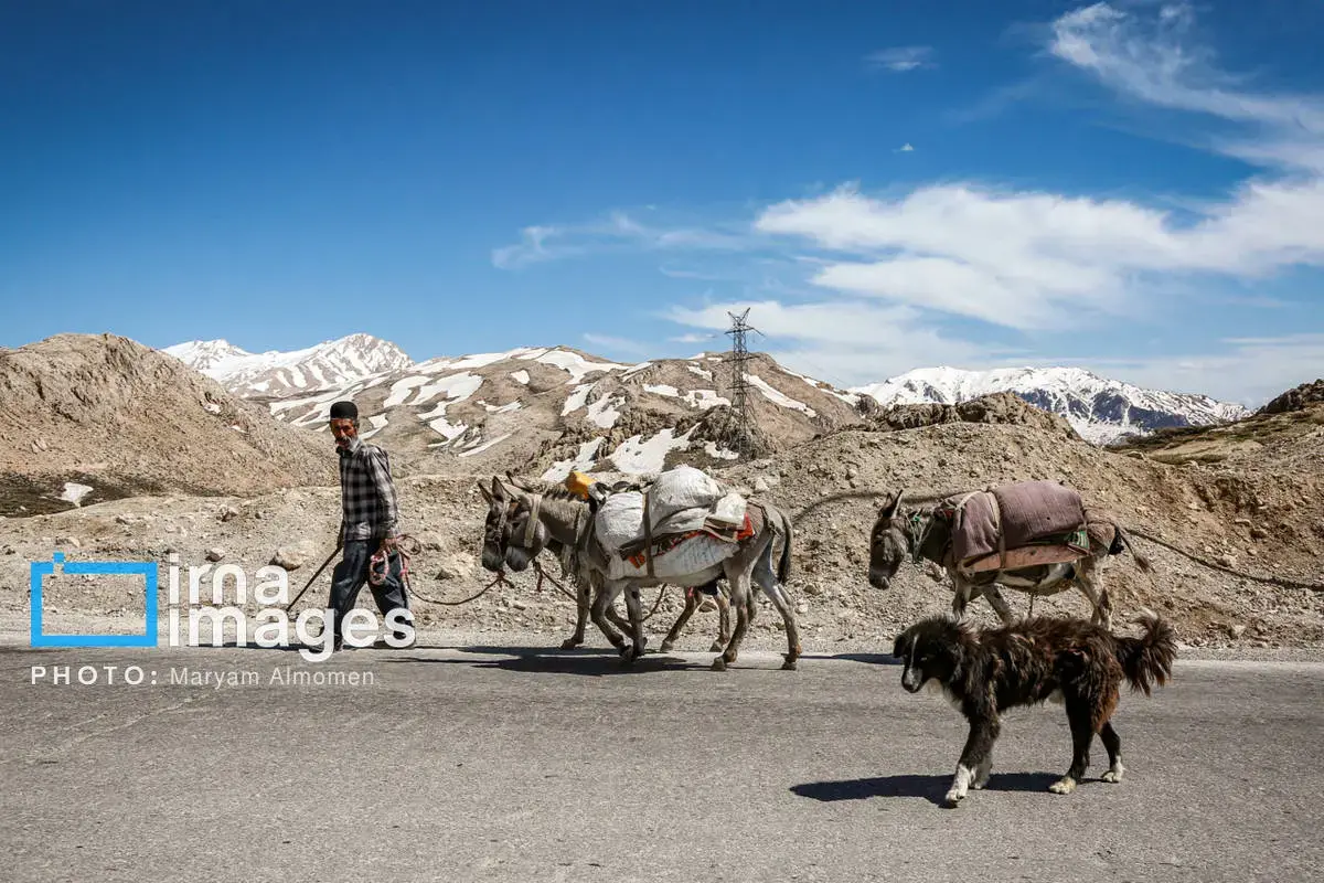 دل در دل دشت با ایل بختیاری