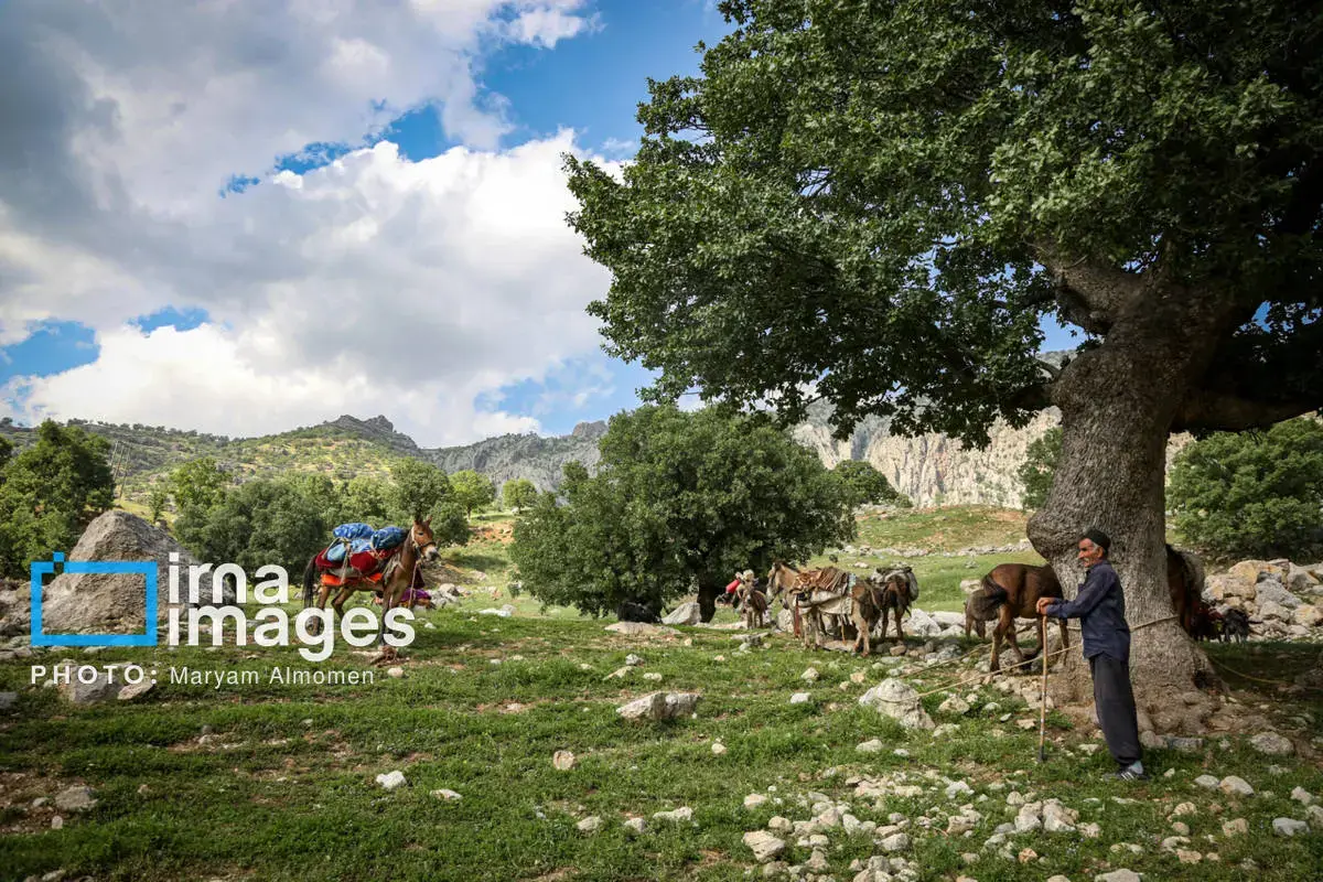 دل در دل دشت با ایل بختیاری