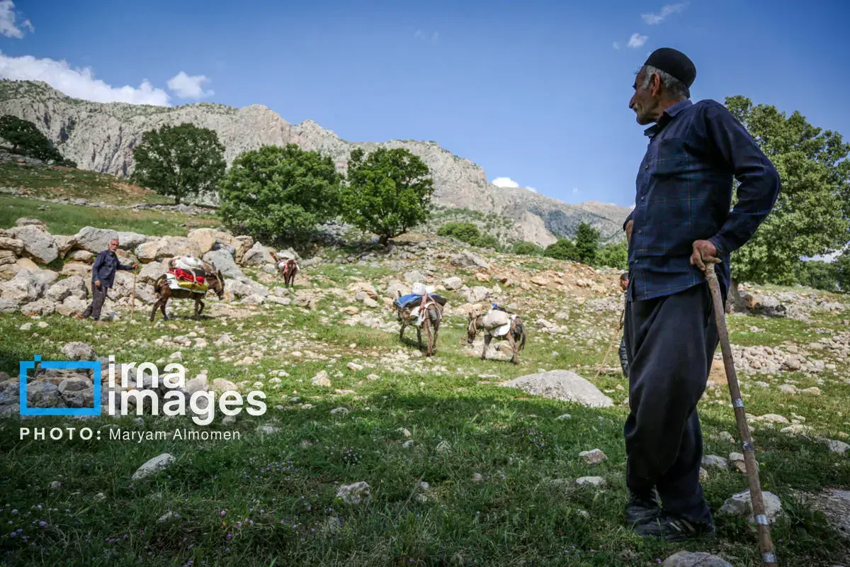 دل در دل دشت با ایل بختیاری