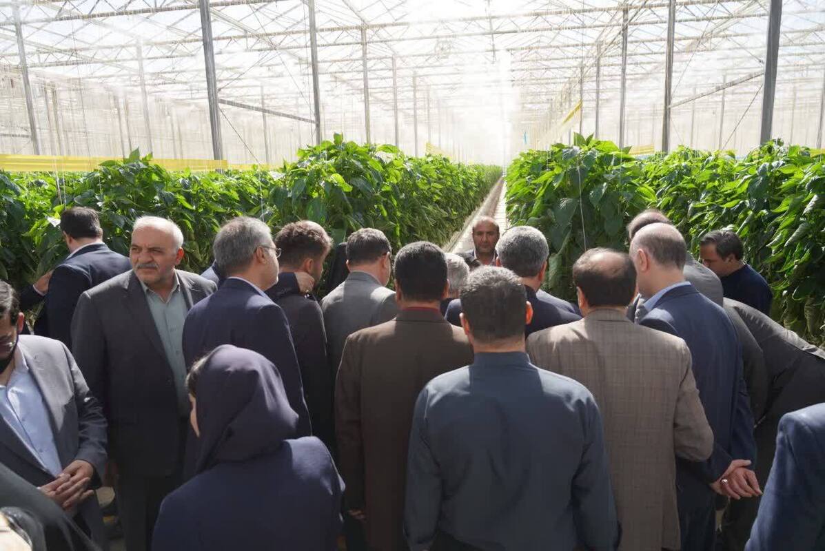 منطقه آزاد ارس