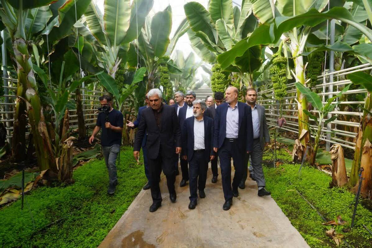 منطقه آزاد ارس