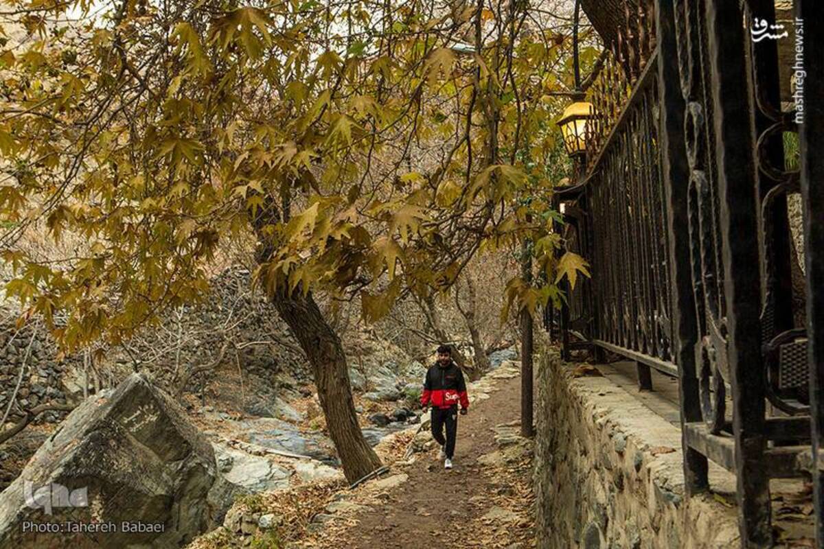 آواز رنگ‌ها در کوچه‌های پاییزی درکه