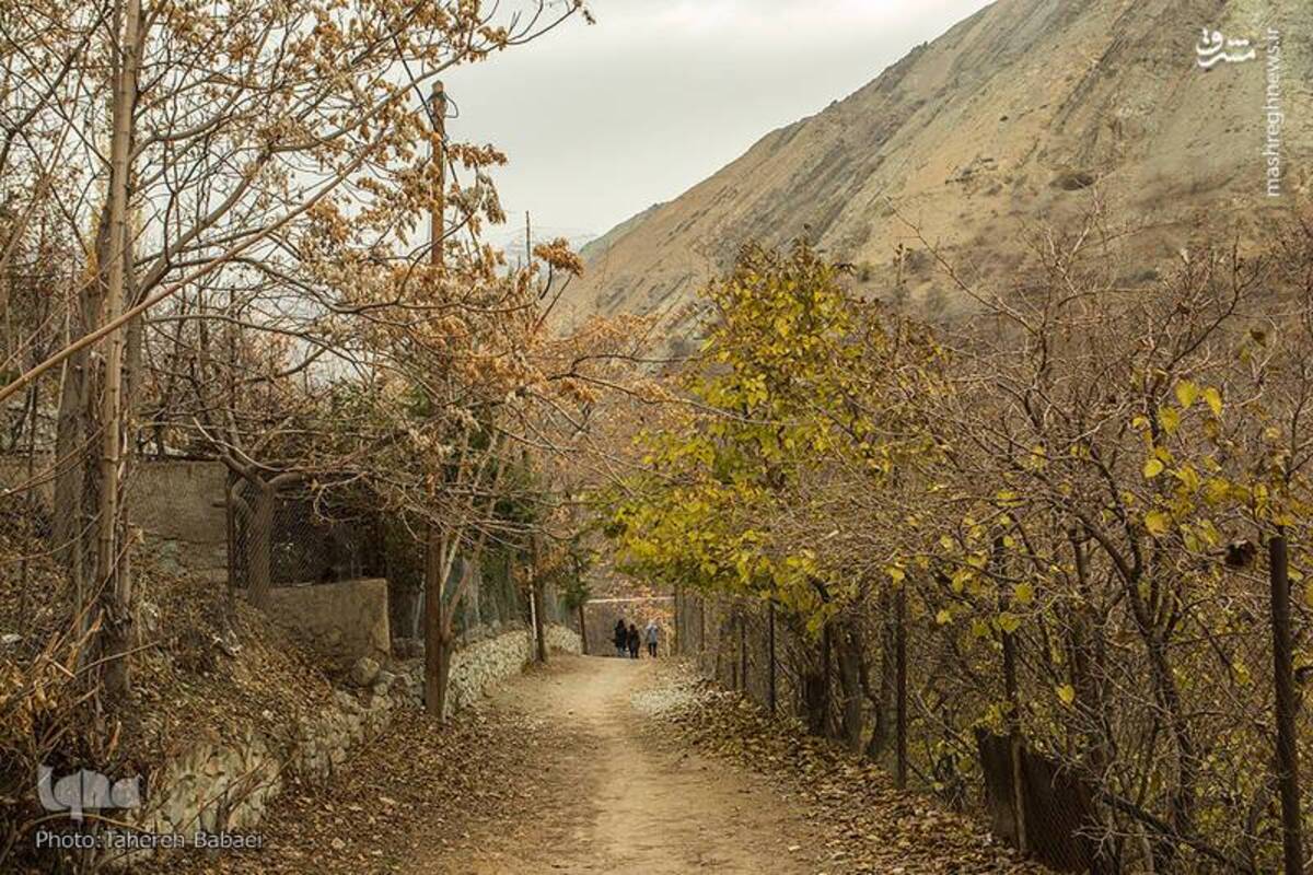 آواز رنگ‌ها در کوچه‌های پاییزی درکه