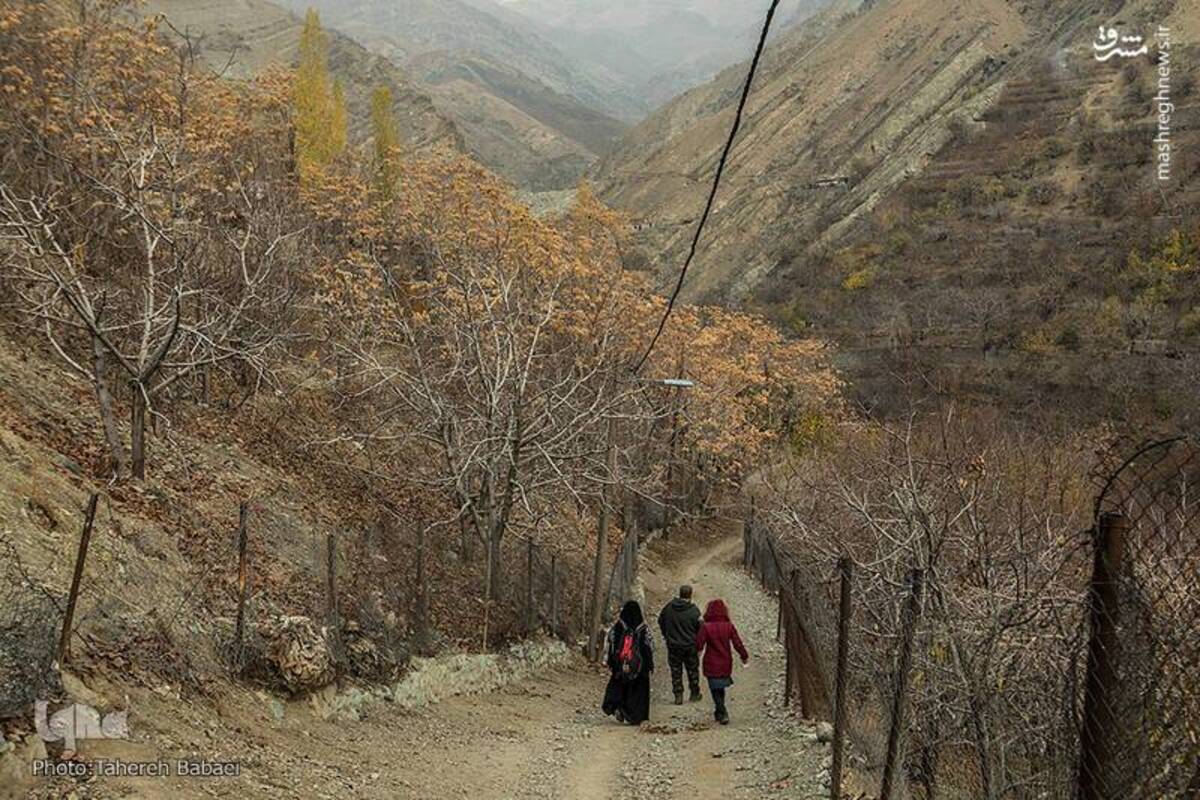 آواز رنگ‌ها در کوچه‌های پاییزی درکه