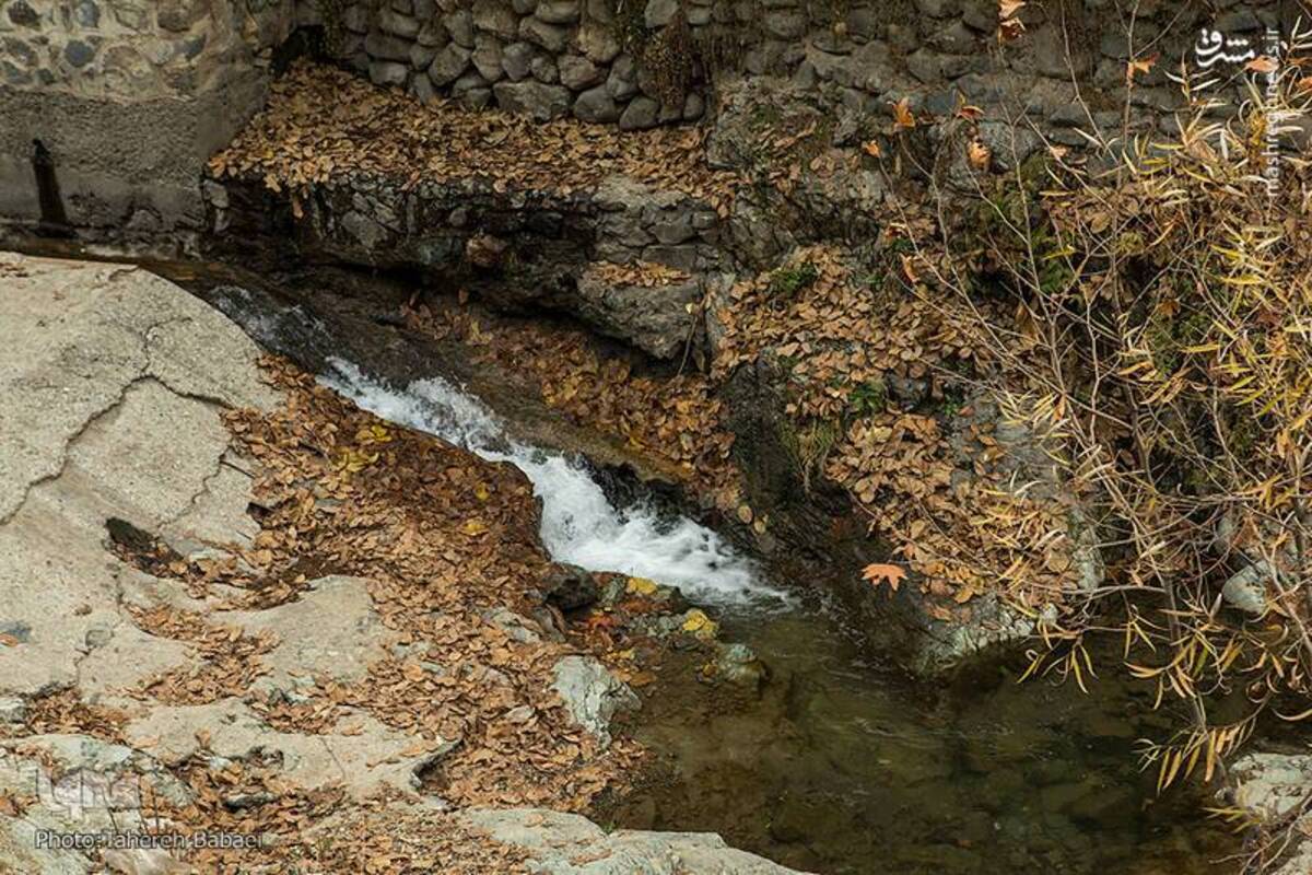 آواز رنگ‌ها در کوچه‌های پاییزی درکه