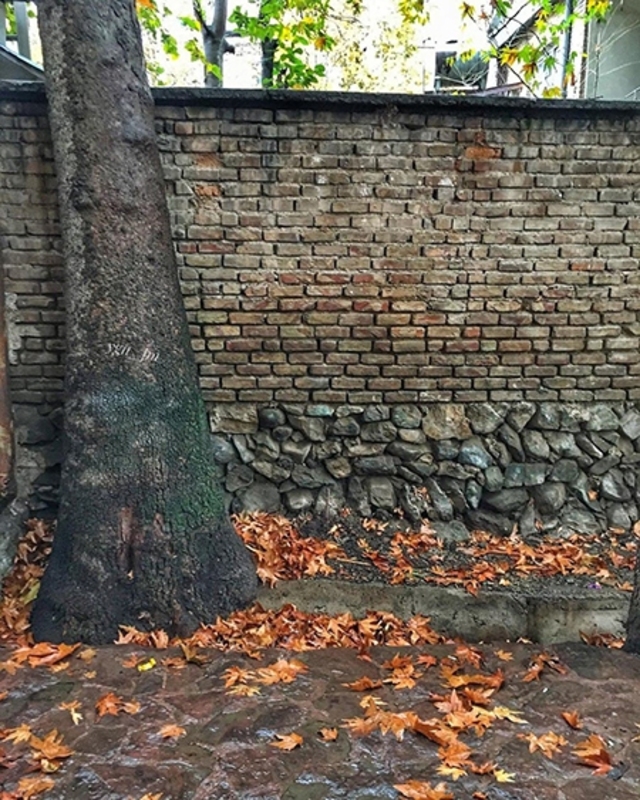 آواز رنگ‌ها در کوچه‌های پاییزی درکه