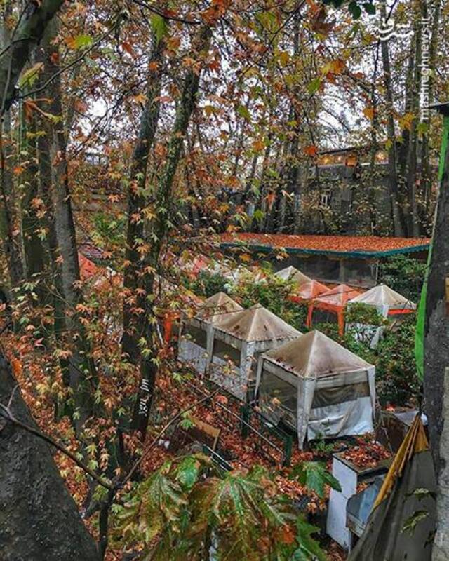 آواز رنگ‌ها در کوچه‌های پاییزی درکه