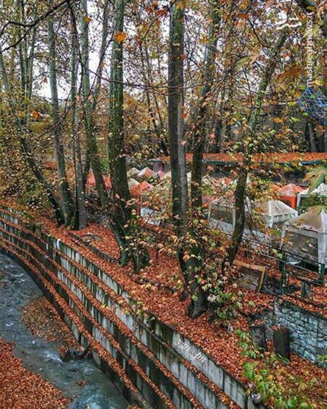 آواز رنگ‌ها در کوچه‌های پاییزی درکه