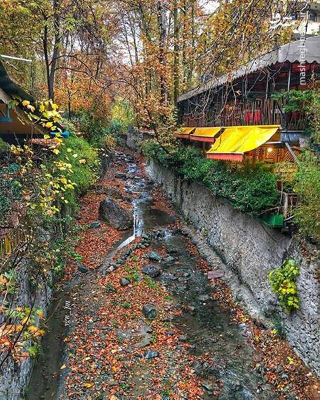 آواز رنگ‌ها در کوچه‌های پاییزی درکه