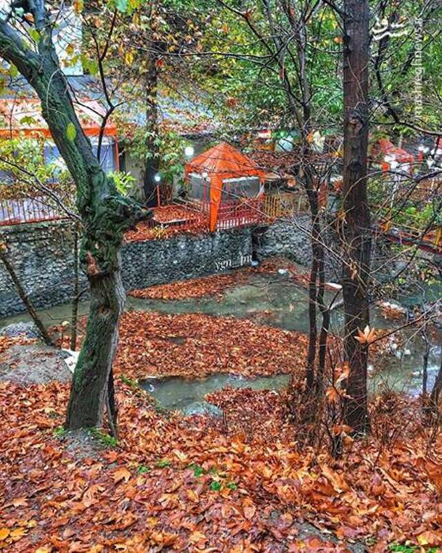 آواز رنگ‌ها در کوچه‌های پاییزی درکه