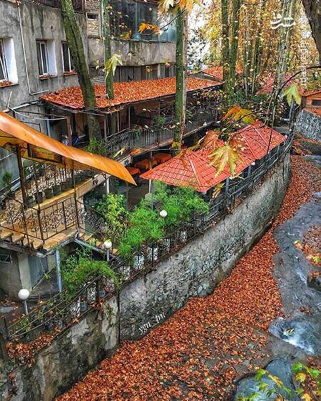 آواز رنگ‌ها در کوچه‌های پاییزی درکه