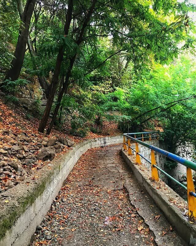 آواز رنگ‌ها در کوچه‌های پاییزی درکه