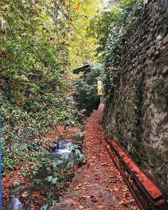 آواز رنگ‌ها در کوچه‌های پاییزی درکه