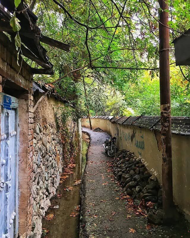 آواز رنگ‌ها در کوچه‌های پاییزی درکه