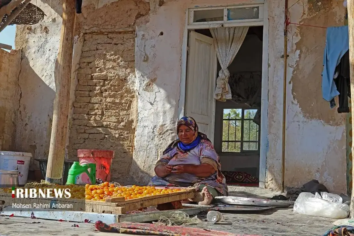 آلو‌های خور در صف آفتاب