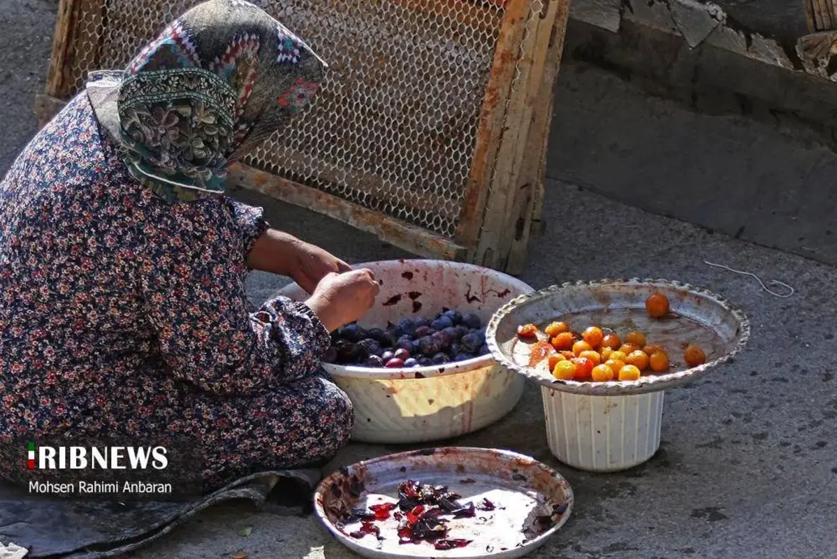 آلو‌های خور در صف آفتاب