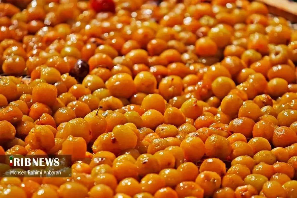 آلو‌های خور در صف آفتاب