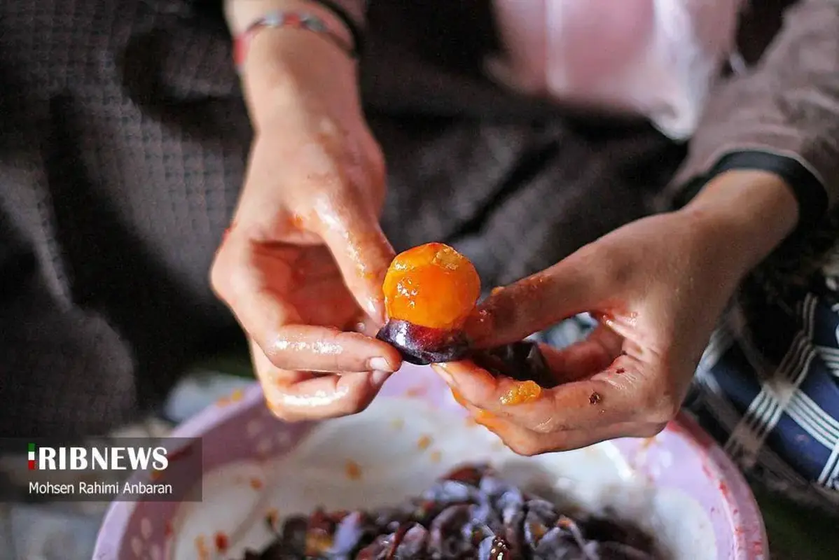 آلو‌های خور در صف آفتاب