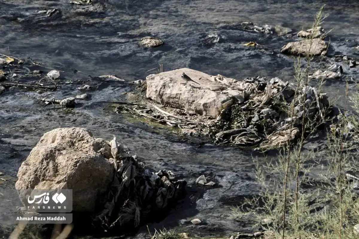 بوی مرگ در مسیر آب