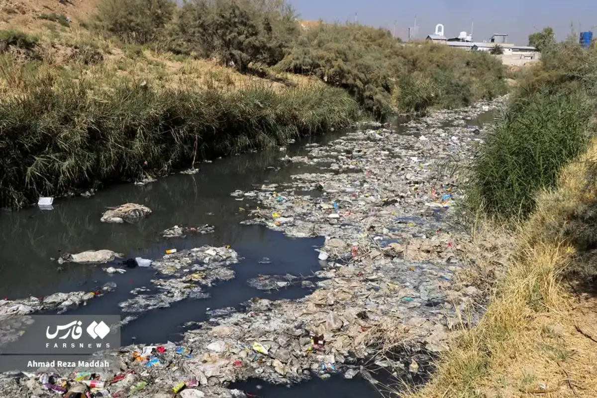 بوی مرگ در مسیر آب