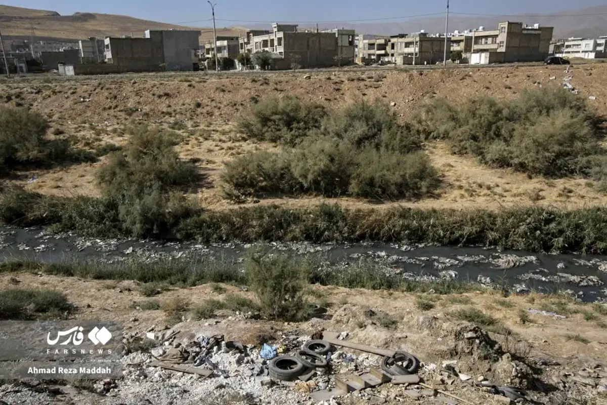 بوی مرگ در مسیر آب