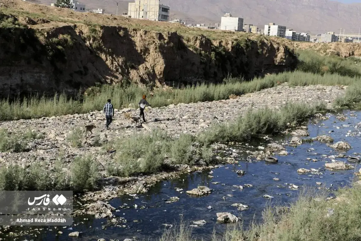 بوی مرگ در مسیر آب