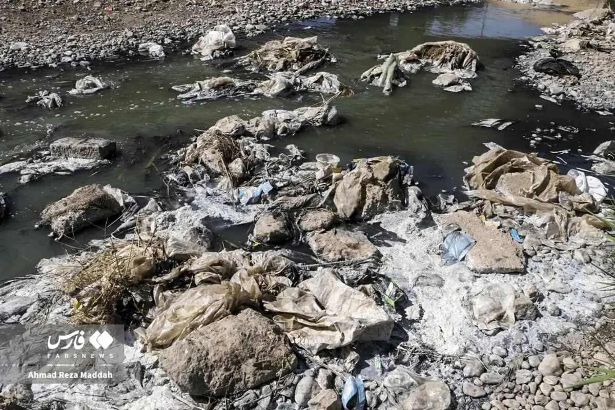 بوی مرگ در مسیر آب
