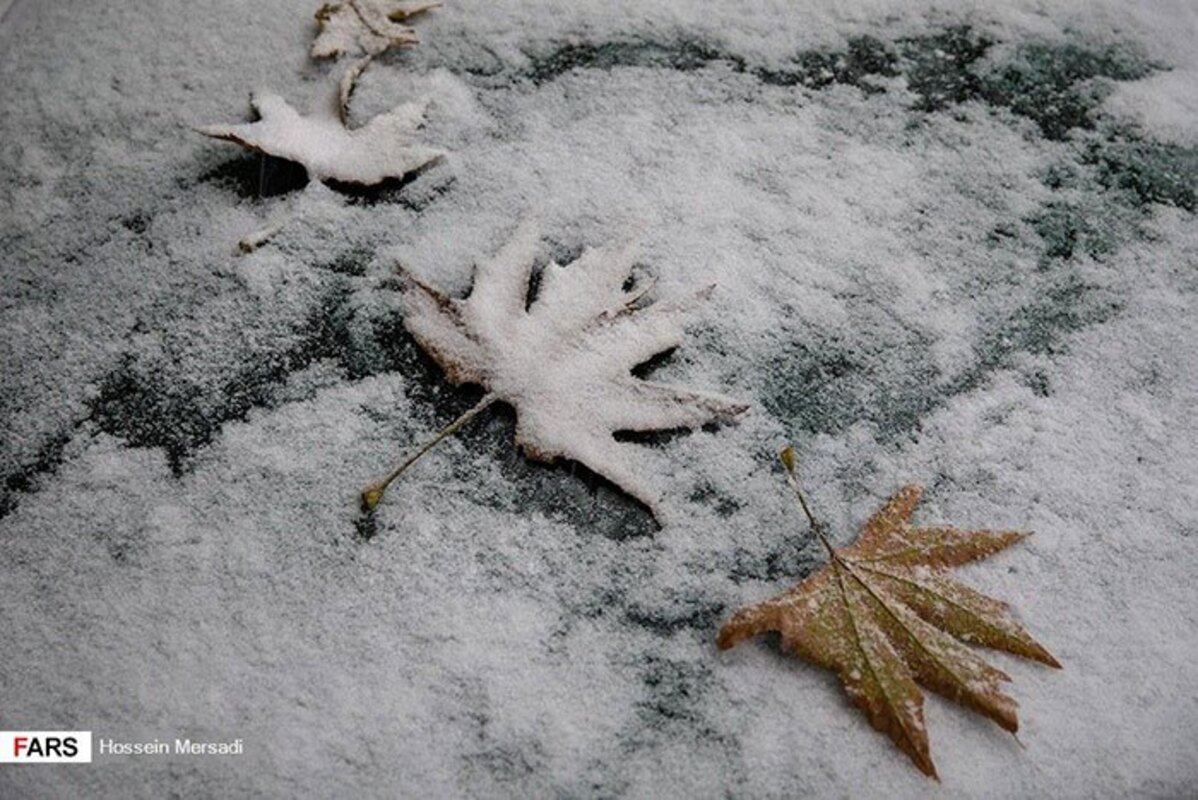 تصاویر باورنکردنی از آبان‌ماه پر از برف تهران