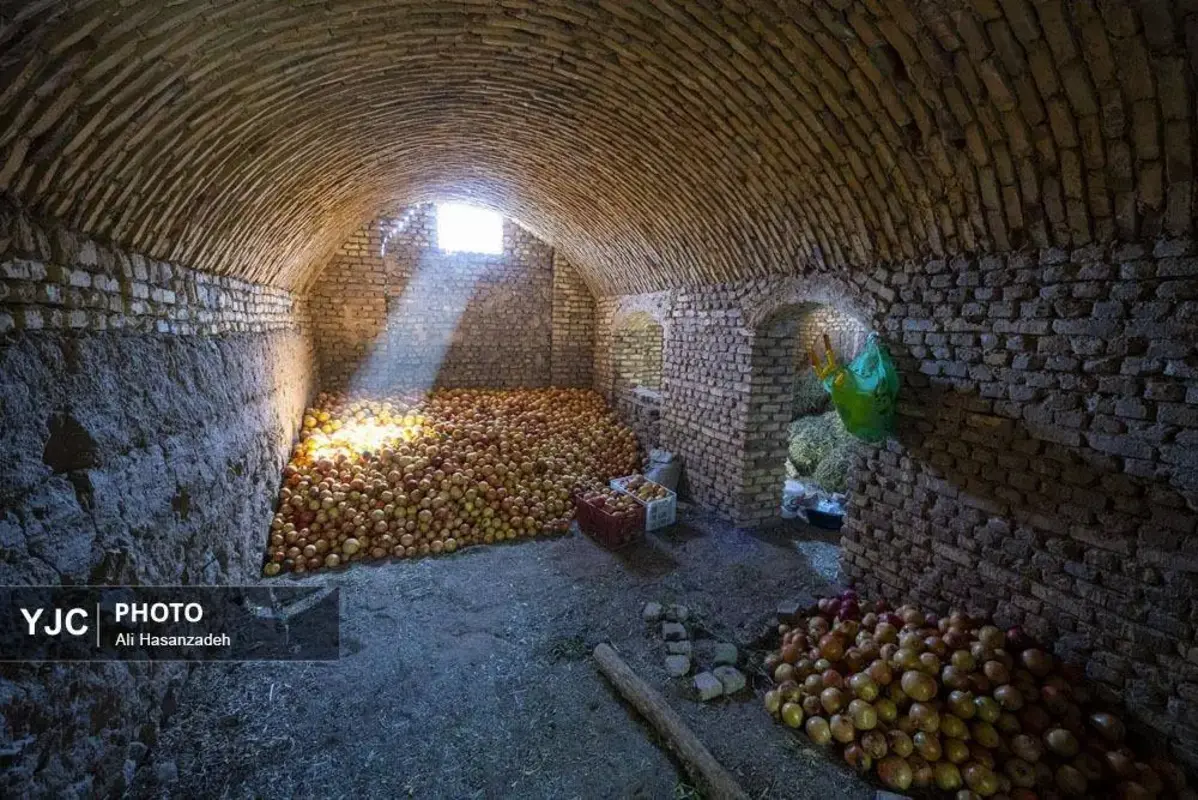 سرخی انار بر تن باغ‌های یزد