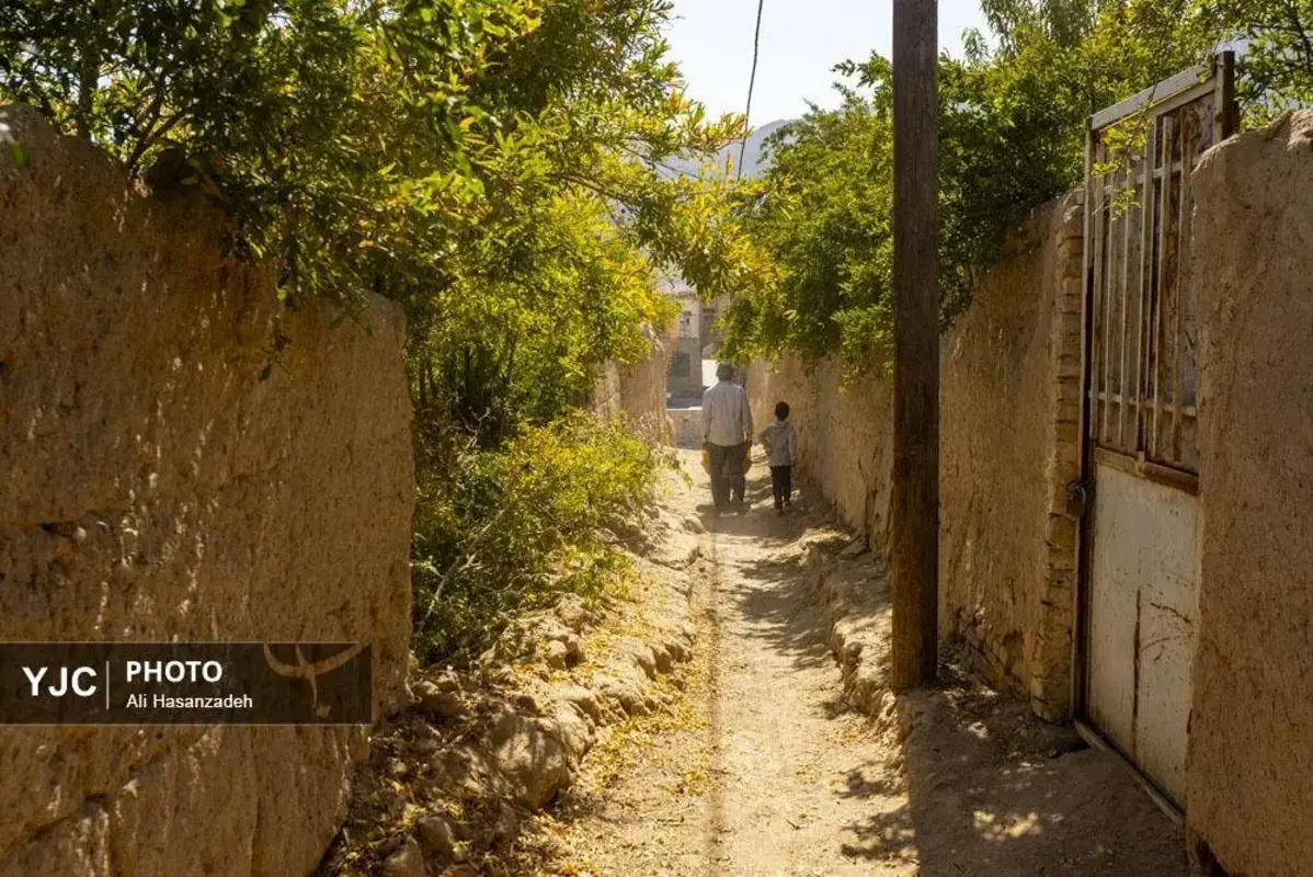 سرخی انار بر تن باغ‌های یزد